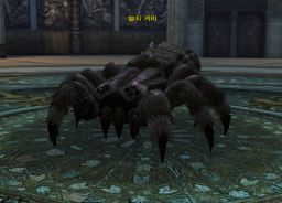Swamp Spider.png